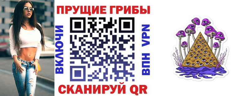 купить наркотик  площадка официальный сайт  Галлюциногенные грибы мицелий  Новое Девяткино 