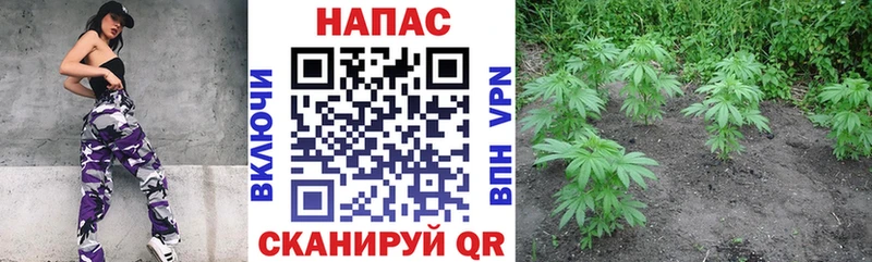 Конопля LSD WEED  Новое Девяткино 